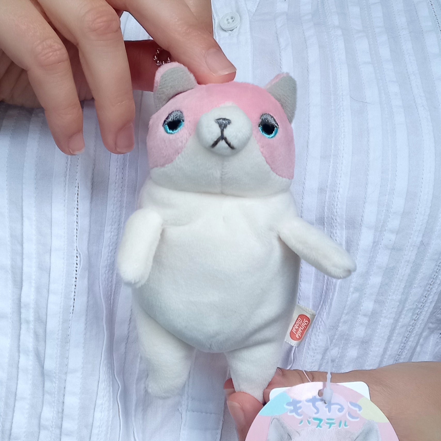 Mini Pink Mochi Cat (14 cm)