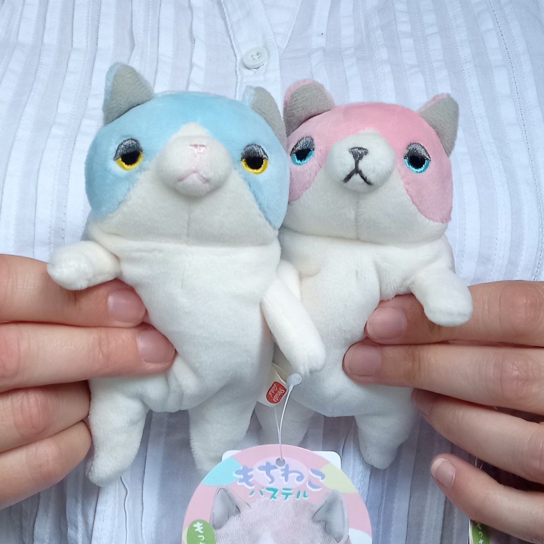 Mini Pink Mochi Cat (14 cm)