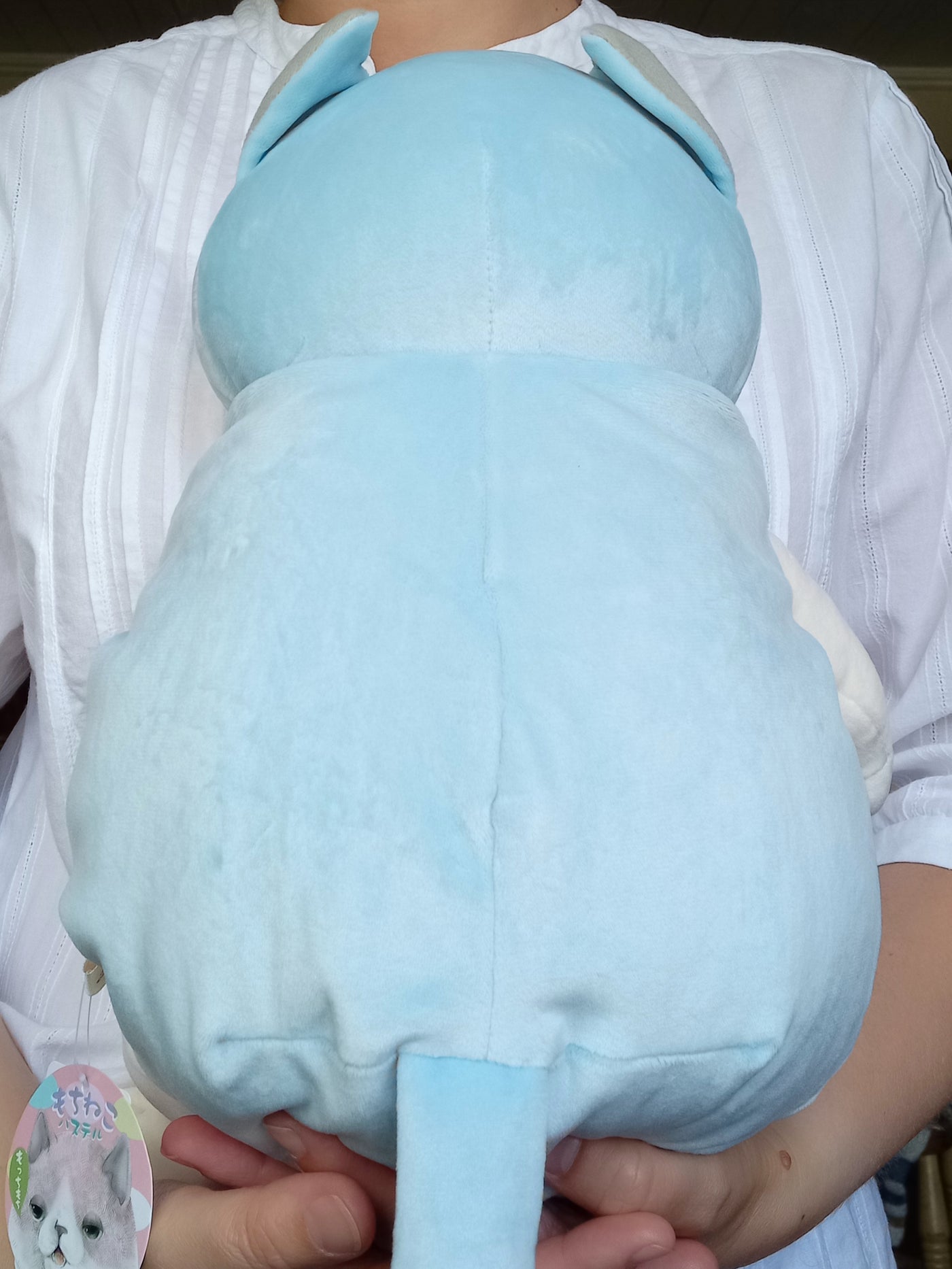 Large Blue Mochi Cat (48 cm)