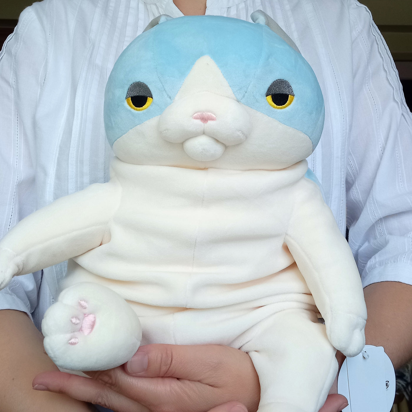 Large Blue Mochi Cat (48 cm)