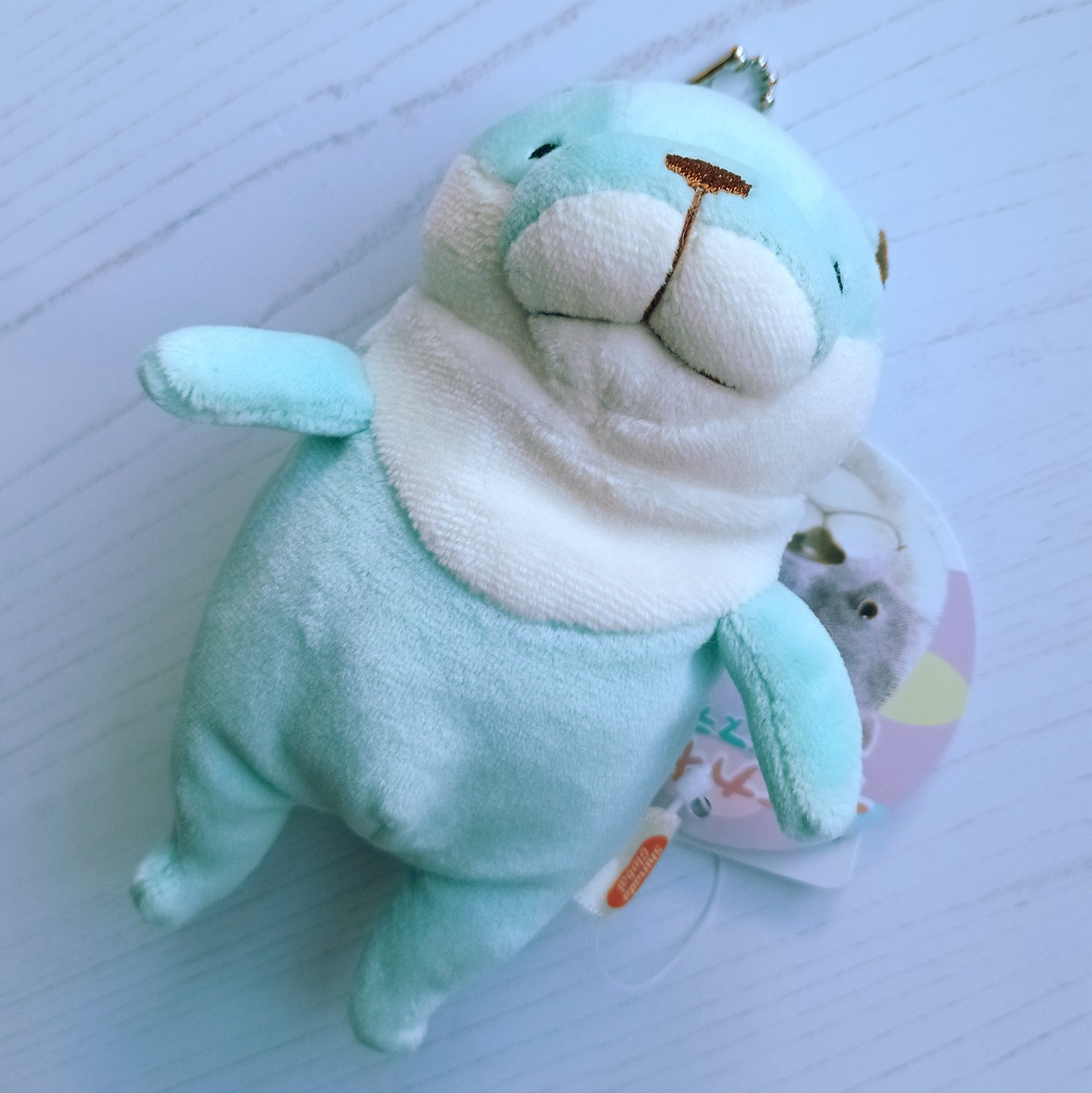 Mini Mint Mochi Otter (13 cm)