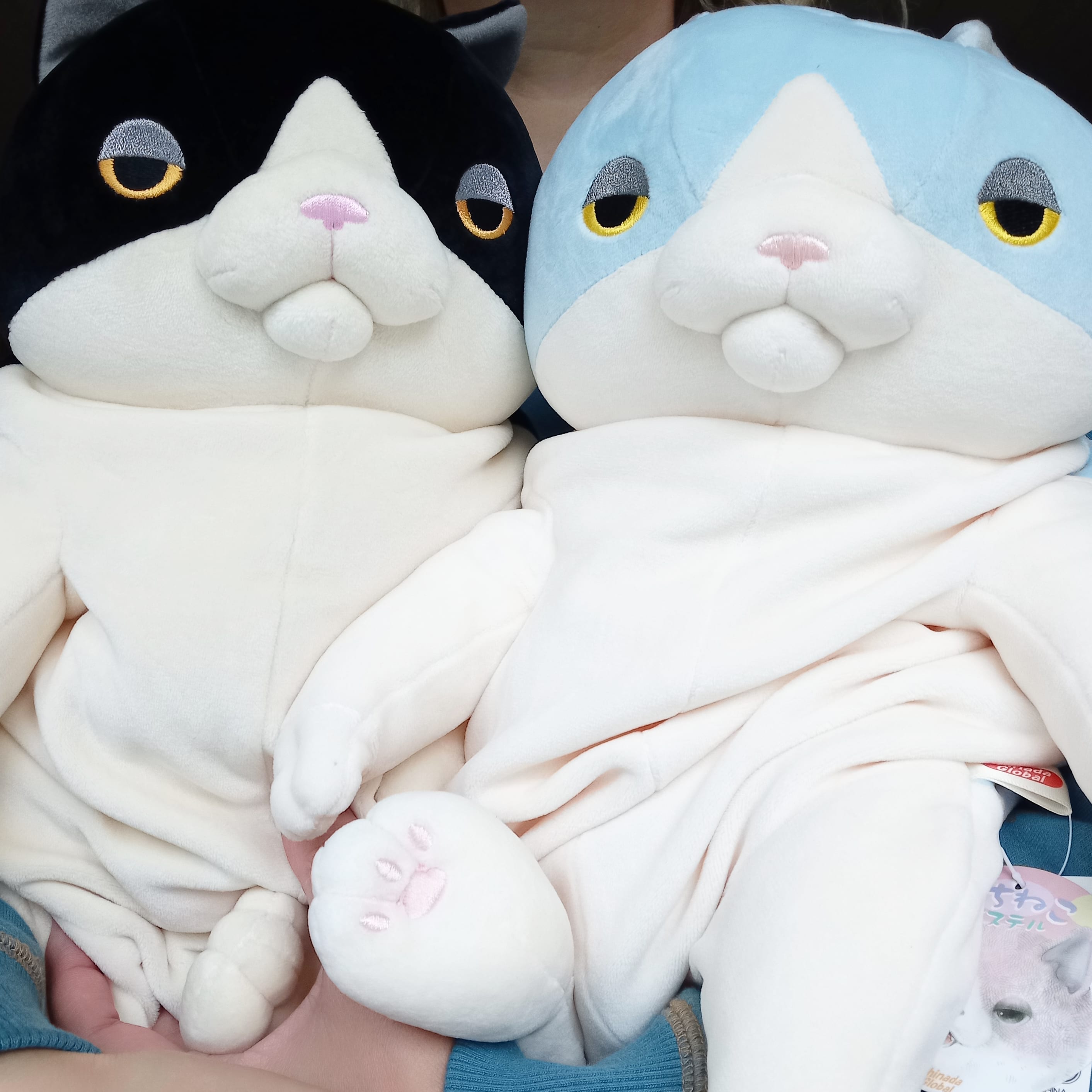 Large Blue Mochi Cat (48 cm)