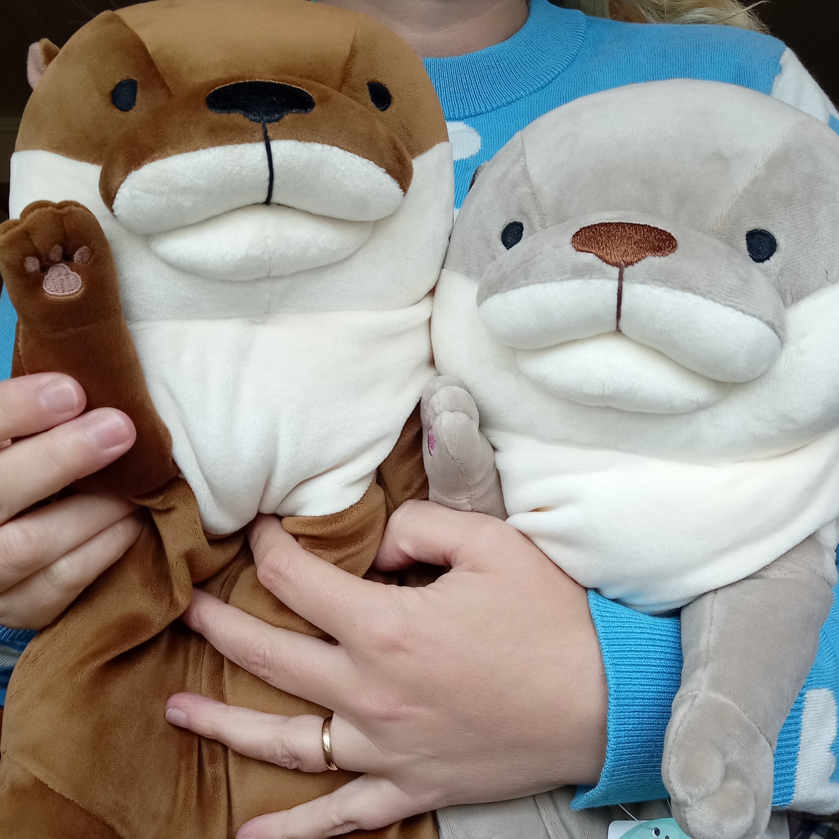 jerry cat otter カワウソ　M size An otter and a cat pose for the camera like a model [Otter