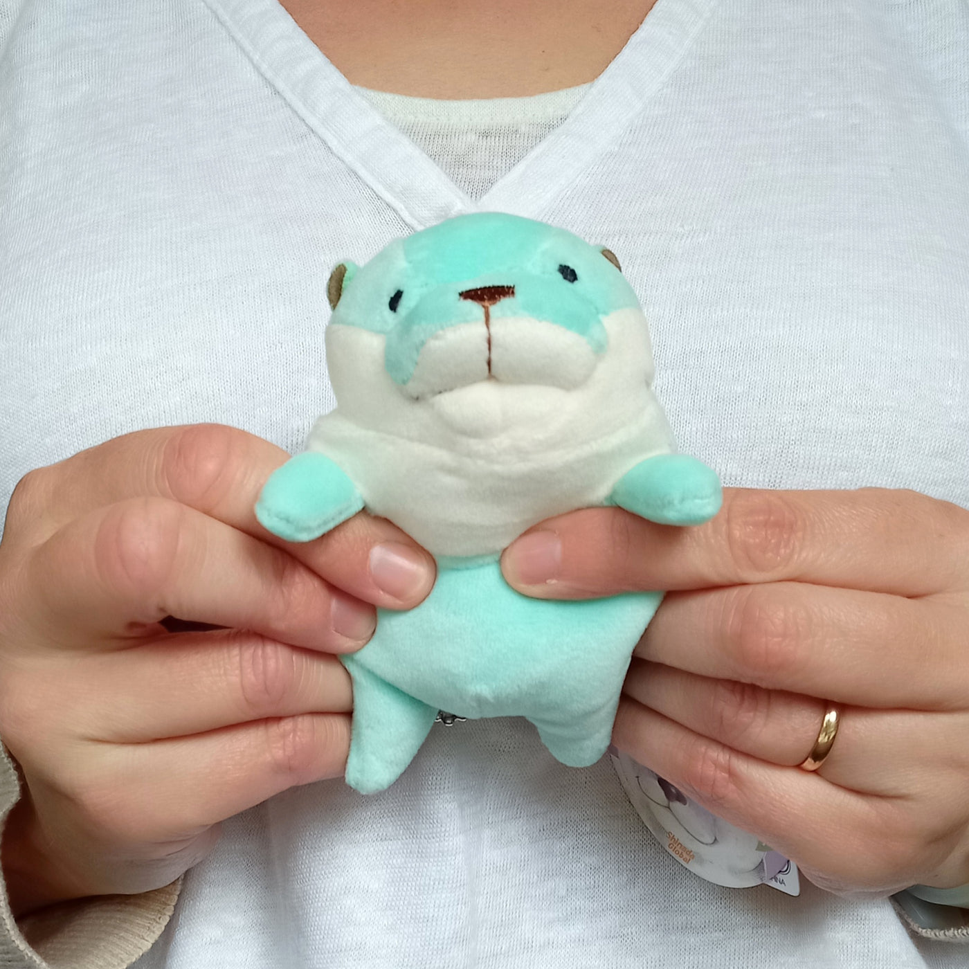 Mini Mint Mochi Otter (13 cm)