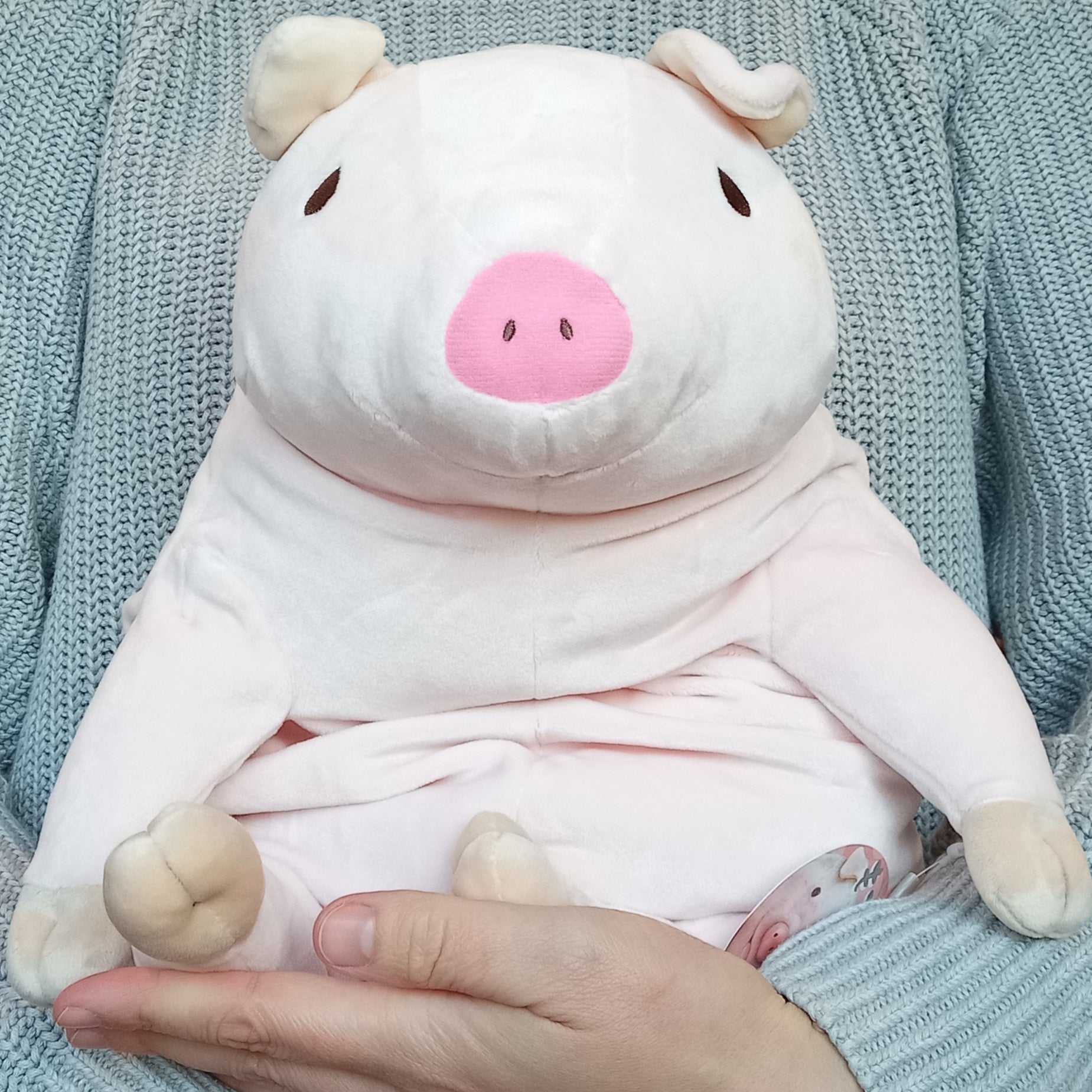 Large Pink Mochi Pig (41 cm)