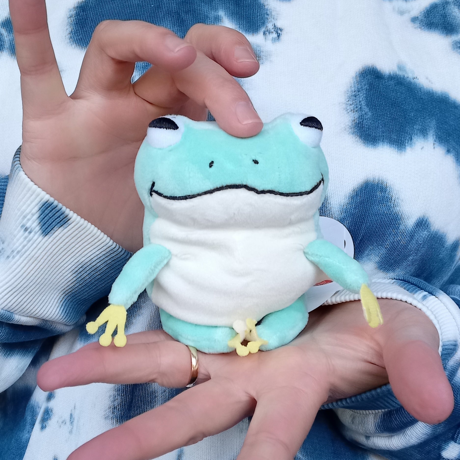 Mini Blue Mochi Frog (13 cm)