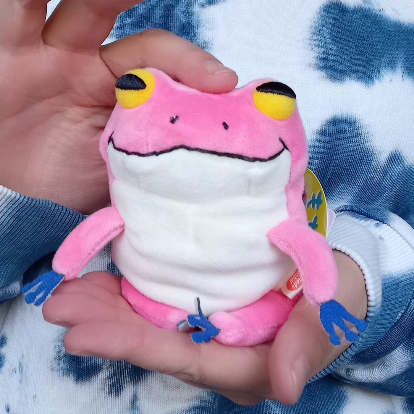 Mini Pink Mochi Frog (13 cm)