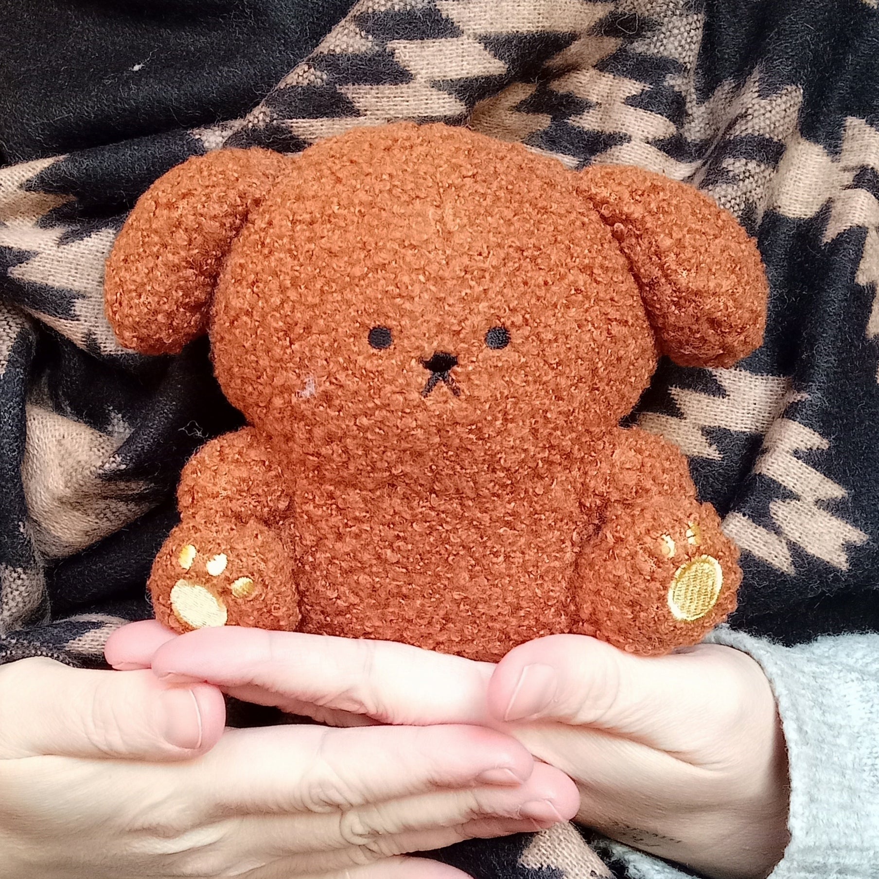 Brown Puppy Fuwatto Time Plush (13 cm)