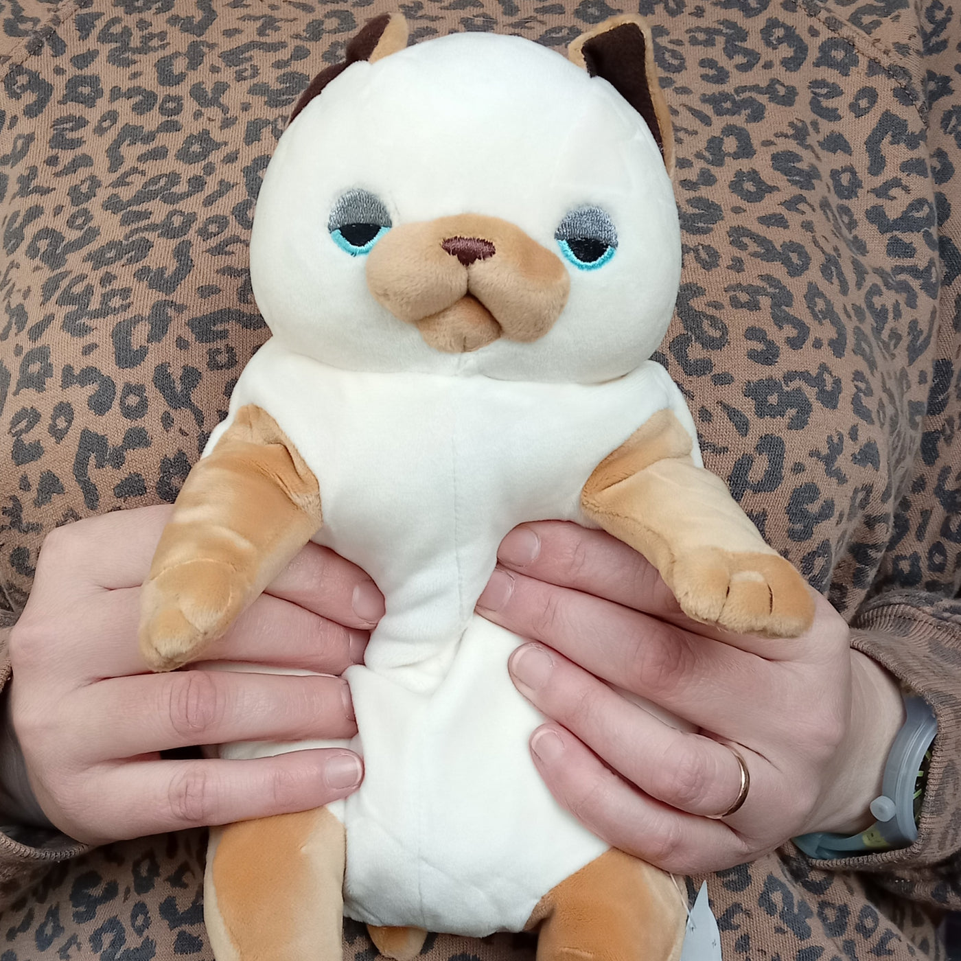 Medium Siamese Mochi Cat (30 cm)