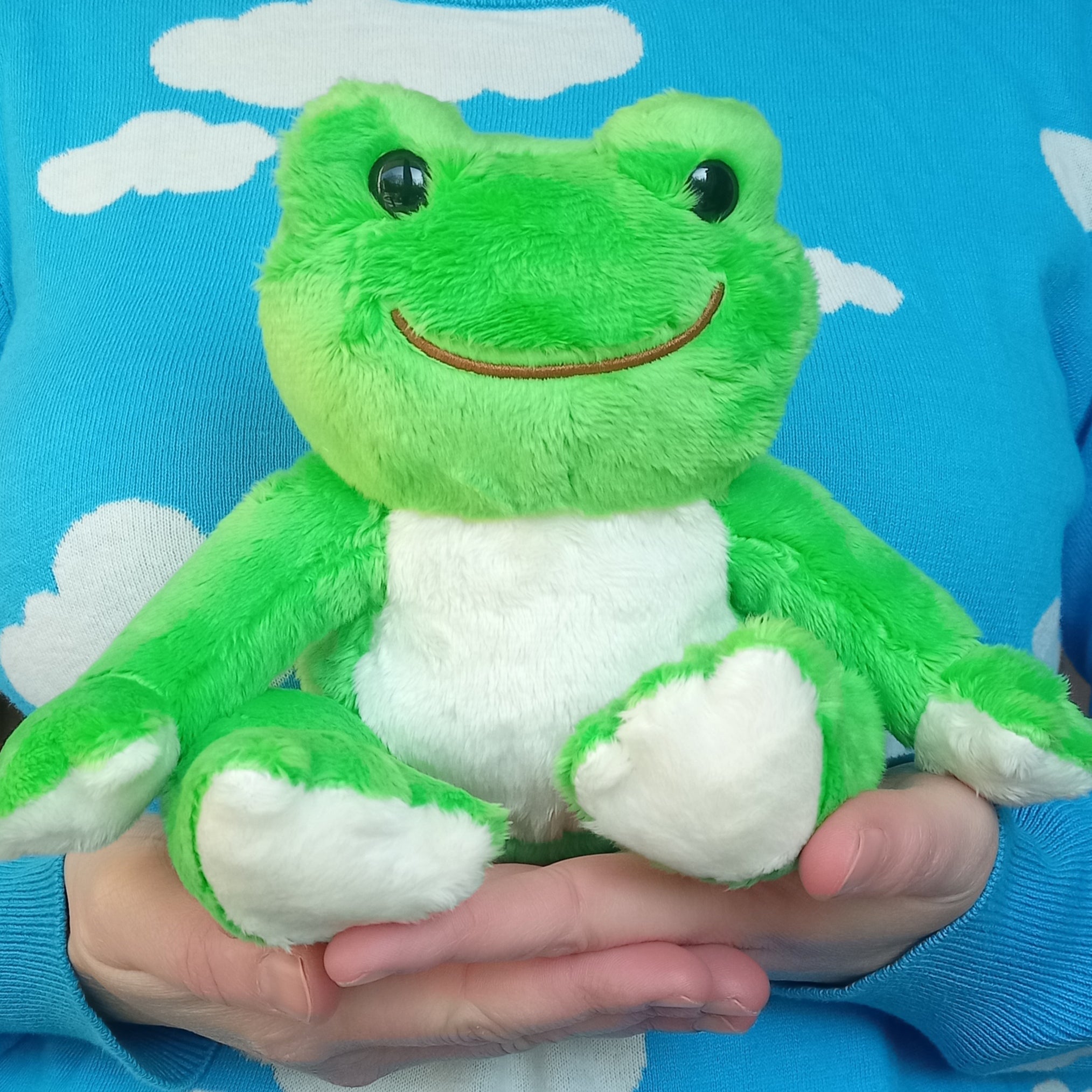 Green Pickles the Frog (26cm) · Disco Waffle